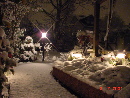 DSC02878