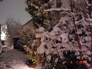 DSC02879