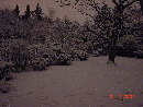 DSC02880