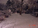 DSC02883