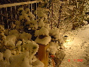 DSC02879